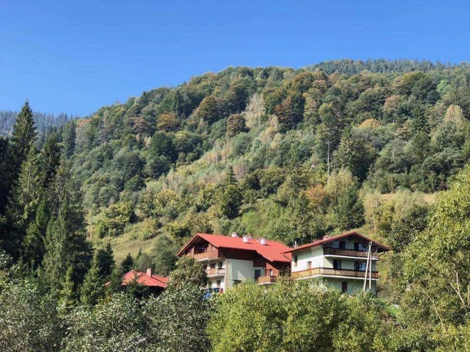 Hotel Лісова Казка Slavske Exteriér fotografie